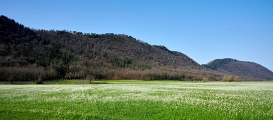 monte orfano