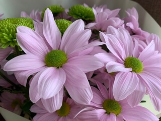 A bouquet of blossoming flowers, close-up. Petals of lilac daisies with green. Composition of spring flowers in a vase.