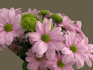 A bouquet of blossoming flowers, close-up. Petals of lilac daisies with green. Composition of spring flowers in a vase.