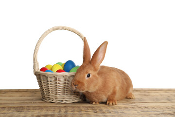Adorable furry Easter bunny near wicker basket with dyed eggs on wooden table against white background