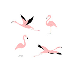 Cartoon flamingo icon set. Cute bird in different poses. Illustration for prints, clothing, packaging, stickers.