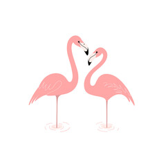 Couple of flamingo, loving couple. Decorative greeting card - wedding invitation with bird.