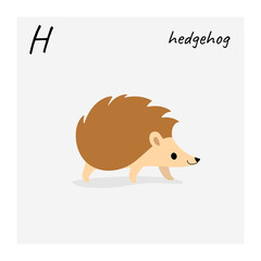 Cartoon hedgehog - cute character for children. Cute illustration in cartoon style.