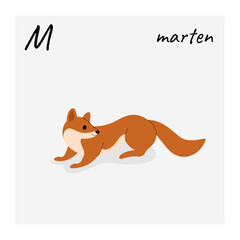 Fototapeta premium Cute marten - cartoon animal character. Illustration in flat style isolated on gray background.