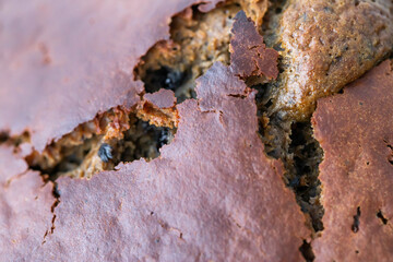 Unsuccessful baking gingerbread with raw filling, background. Macro, products