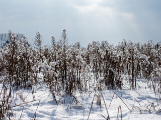 Winterlandschaft