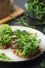 Sandwiches with salmon, avocado and salad