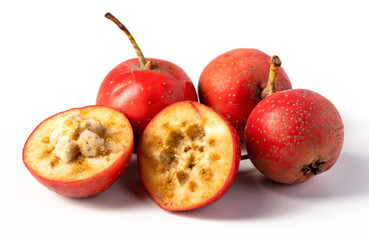 Fresh hawthorn on pure white background