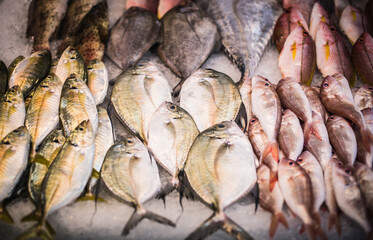 
Fresh seafood for sale in Lan Pho Seafood Market, Ban Na Kluea, Pattaya, Thailand.