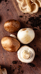 Mix de Cogumelos shimeji, paris, portobello
