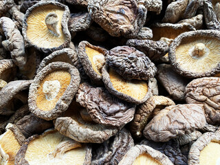 Food background of dried shiitake mushrooms