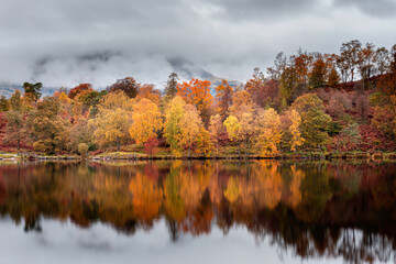 Reflection of trees with autumn colours and cloudy sky in the water.Tarn Hows, Lake District, Cumbria, UK.Painterly and dreamlike landscape scenery.Nature background.
