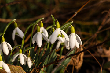 In der Sonne ist es warm