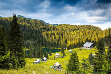 Chalet standing next to the mountain lake with forest. Koca na Planini pri Jezeru.