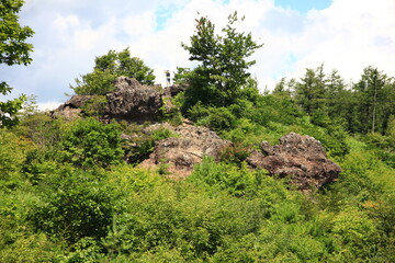 しし岩。　長野県野辺山高原の飯盛山（めしもりやま)登山口にある奇石