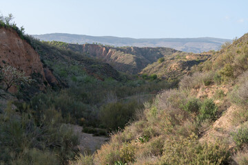 Fototapeta na wymiar small dry stream in the south of Spain