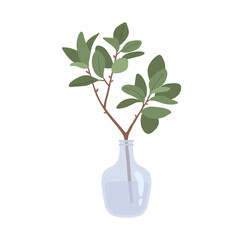 Ficus branch and glass vase for home decor. Vector illustration isolated on white background