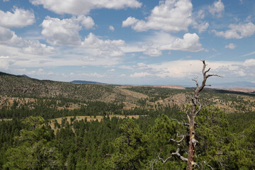 Panoramic View
Panoramic view of landscape near Los Alamos, New Mexico..
