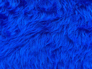 Close up abstract Fluffy Navy Blue wool texture and background, cotton wool. Fashionable color.Decorative dyed sheepskin with copy space.