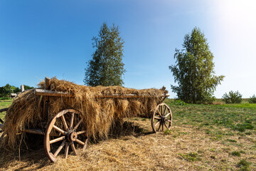 Old vintage rustic wooden ancient cart carriage with hay pile on green grass meadow field against...