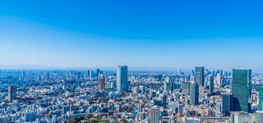 Obraz premium 東京の風景 渋谷・六本木方面 ~Skyscrapers in the megacity of Tokyo~