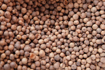 A lot brown dried spices balls ingredient for food cooking, natural background texture