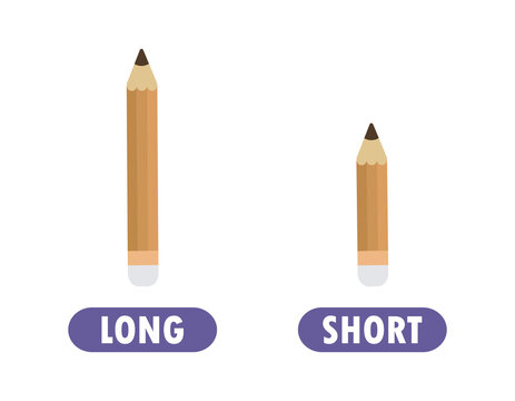 Words short and long with pencil, opposite word antonym for children Flat vector illustration isolated on white background