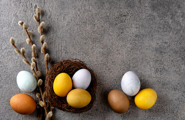 Natural dyed easter eggs. Happy Easter. Congratulatory easter background. Easter composition on grey concrete backgrount.