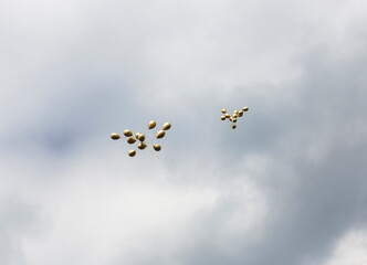 Gold balloons flying away, Piotrkow Trybunalski, Lodz Voivodeship, Poland