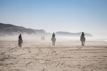 People horse riding on the beach near Esbjerg, Denmark. Three persons with horses at seaside, rear view with beautiful backlight. Sport, leisure and travel concepts