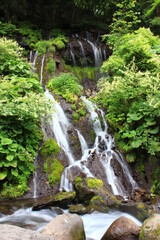 吐竜の滝（どりゅうのたき）山梨県北杜市。　清里高原の川俣渓谷にある滝。緑の木々に覆われた岩肌から染み出る清水。