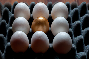 Golden eggs. Golden and white eggs on an eggshell foam. Popular saying: the goose that lays the golden eggs
