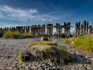 Moddergat, Wadden sea 