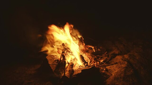 Bonfire burning trees at night. 