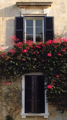 Stare okna na zarośniętej ścianie © vofchok