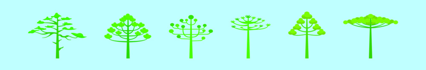 set of araucaria trees cartoon icon design template with various models. vector illustration isolated on blue background