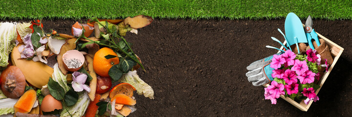 Gardening tools, flowers and organic waste for composting on soil, flat lay. Natural fertilizer