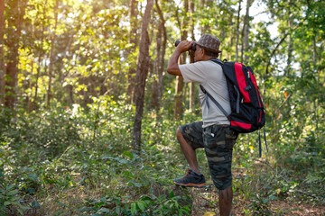 An elderly Asian man and backpack watching birds with binoculars on trees in the forest. Old man hiking on vacation.