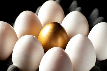 Golden eggs. Golden and white eggs on an eggshell foam. Popular saying: the goose that lays the golden eggs
