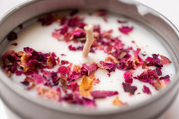 pink rose petals in a candle