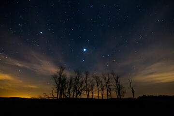 Fototapeta premium starry night in early spring in Shenandoah National Park in Virginia.