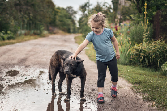 Little girl stroking a big black stray dog in the street