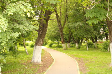 green alley in the park
