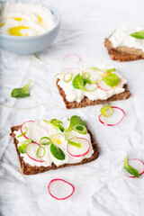 Vegan sandwiches with vegan cottage cheese, green onion, raddish and extra virgin olive oil