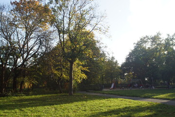 Fototapeta na wymiar Bäume im Park