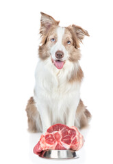 Border collie dog sits with bowl of a raw meat. isolated on white background