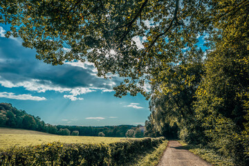 Feldweg im Weld mit Wolkenhimmel