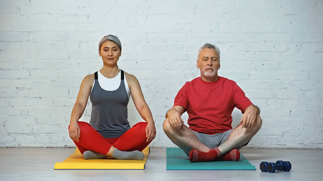 elderly multicultural couple meditating on fitness mats