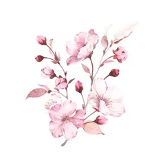 Sakura auf Zweigen. Blühende Kirsche der Aquarellillustration lokalisiert auf weißem Hintergrund, Gestaltungselement, romantischer Symbolfrühling. © Nikole