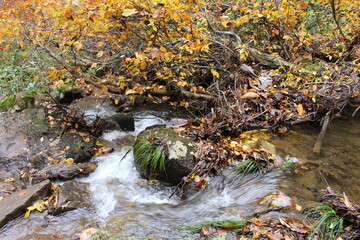 秋の磐梯山のゴールドライン
